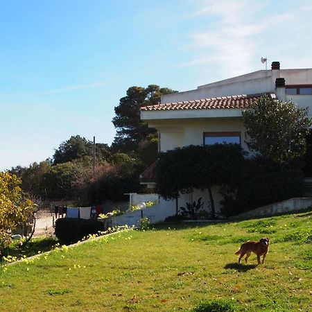 Asinara Vila Sássari Exterior foto