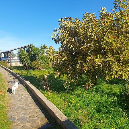Asinara Vila Sássari Exterior foto