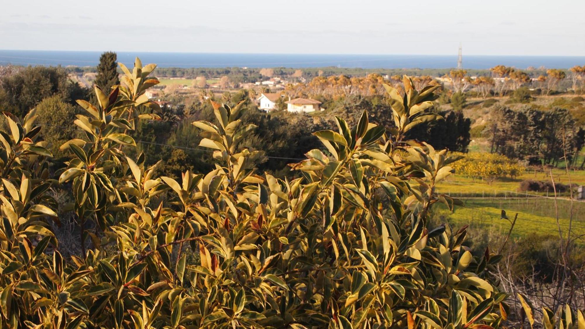 Asinara Vila Sássari Exterior foto